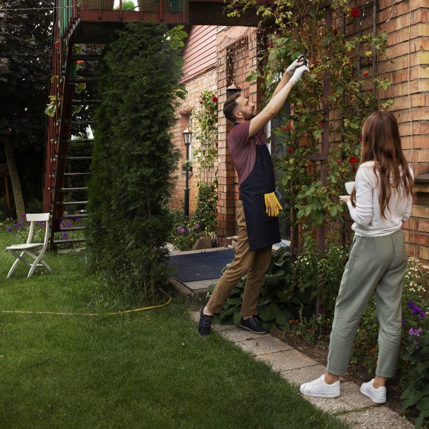 decorar tu jardín
